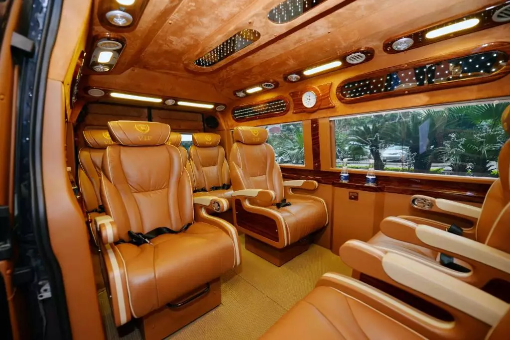 پارادایس کروز