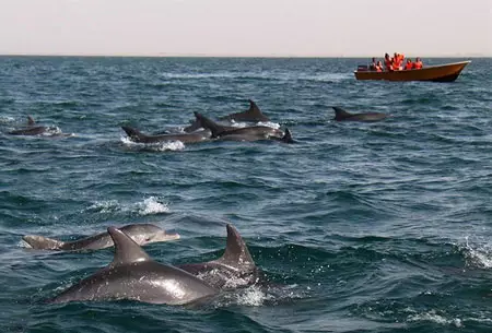 تور قشم 3 شب