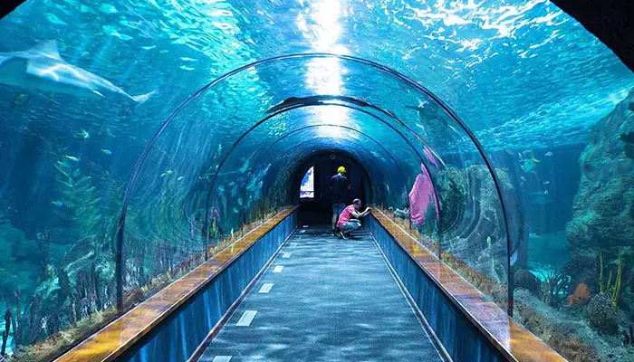 آکواریوم استانبول