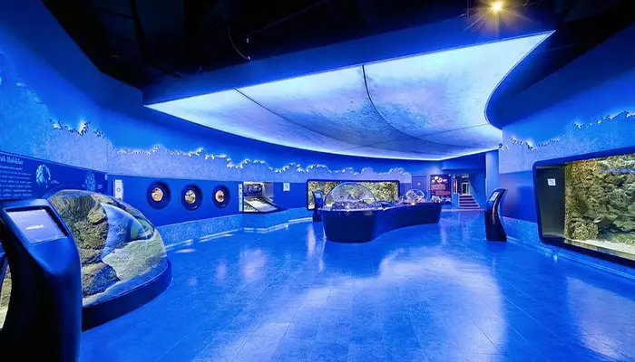 امکانات آکواریوم استانبول