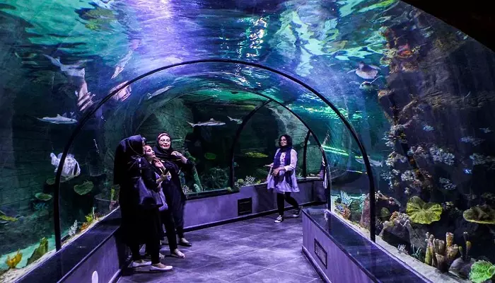 آکواریوم میکامال کیش