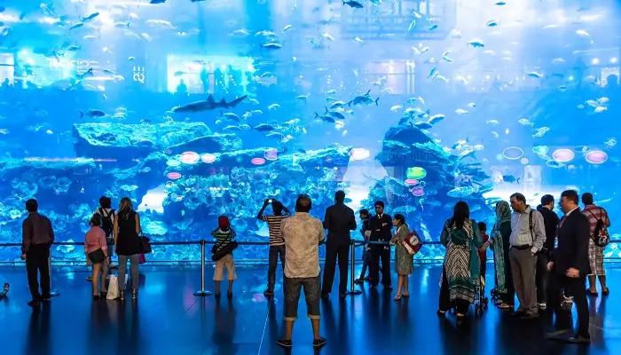 آکواریوم دبی مال