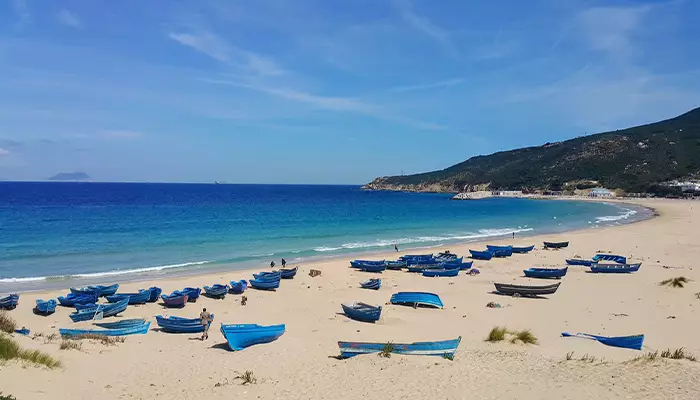 دالیا ساحل نزدیک به میدان تکسیم