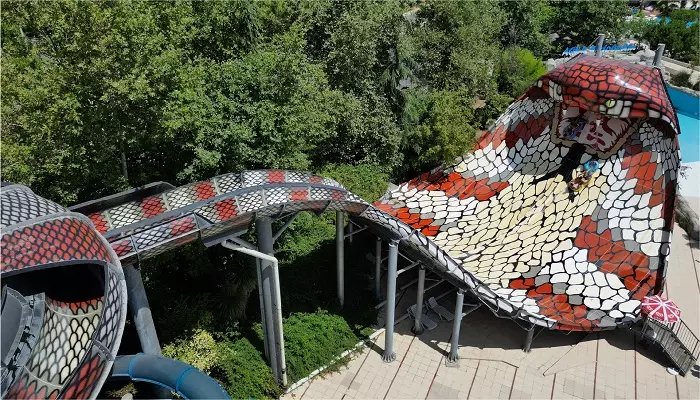 سرسره شاه کبرا