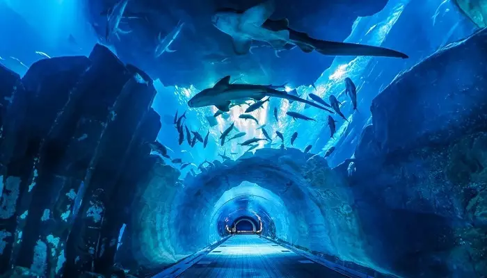 آکواریوم دبی مال