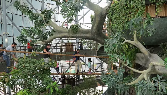 سیاره سبز دبی