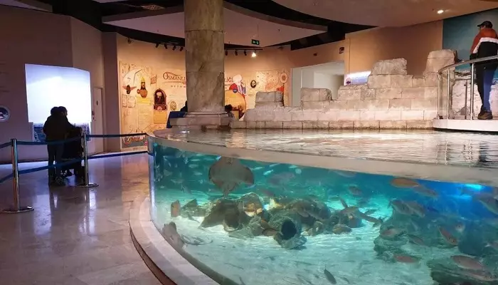 آکواریوم استانبول