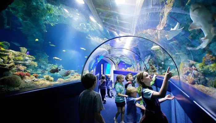 آکواریوم استانبول