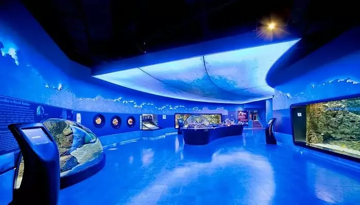 آکواریوم استانبول