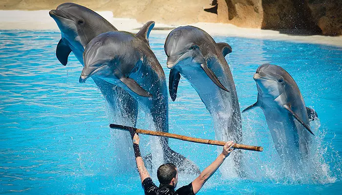 عکس خفن عکس ساحل مرجان کیش