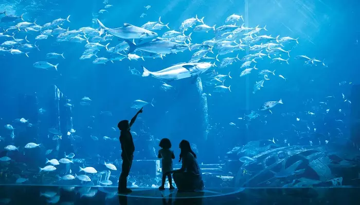 آکواریوم لاست چمبرز دبی