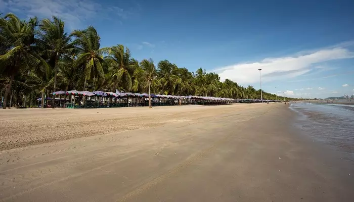 عکسی از ساحل بنگ سائن