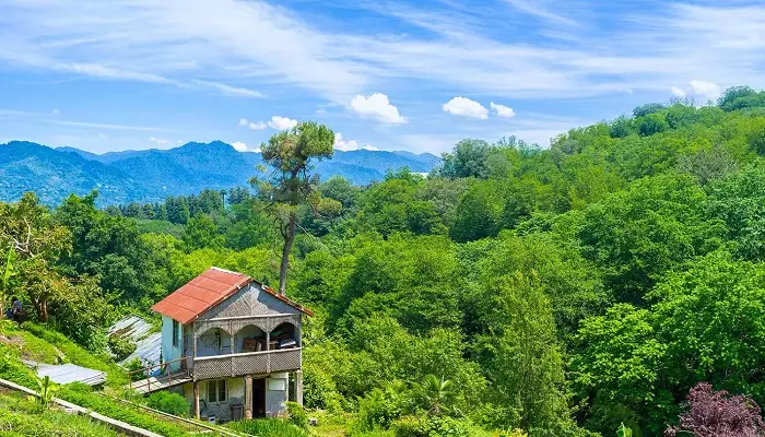 باغ گیاه شناسی باتومی