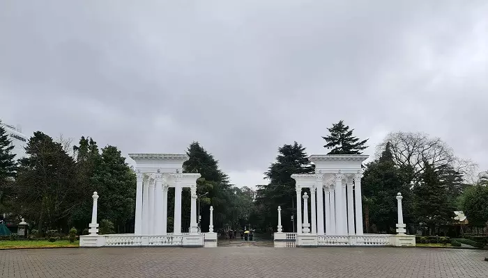 کولونید باتومی