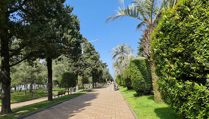 خیابان های باتومی