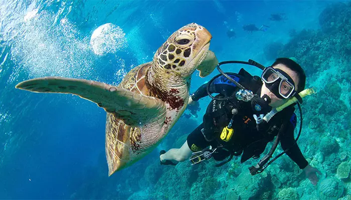 غواصی در کیش