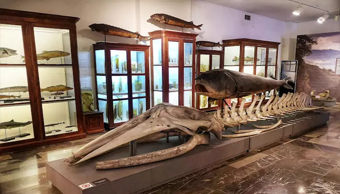 موزه ملی گرجستان