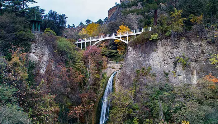 باغ گیاه شناسی ملی گرجستان