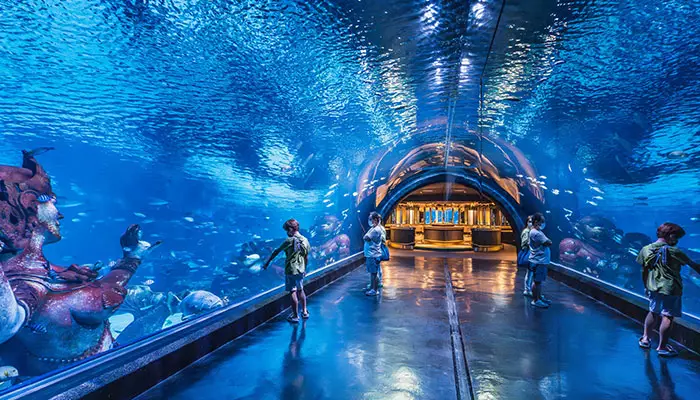 آکواریوم پوکت