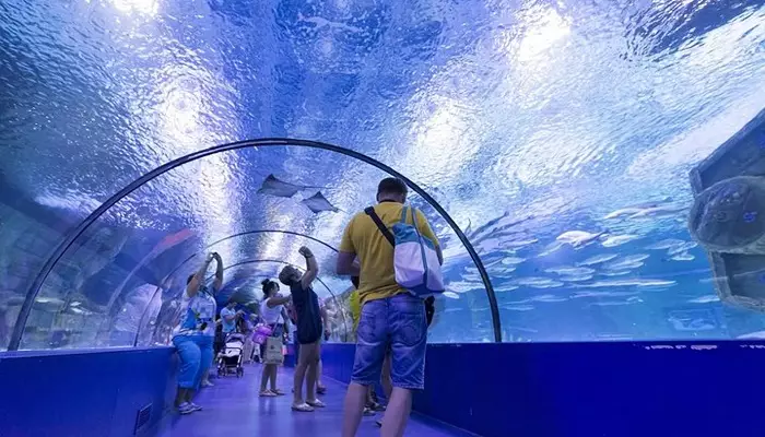 نمایی از آکواریوم آنتالیا