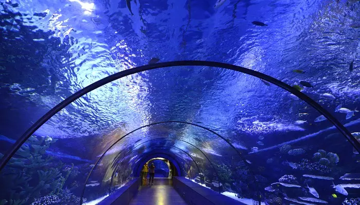 آکواریوم آنتالیا