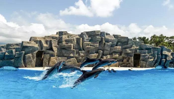 دلفیناریوم باتومی