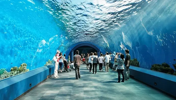دنیای زیر آب